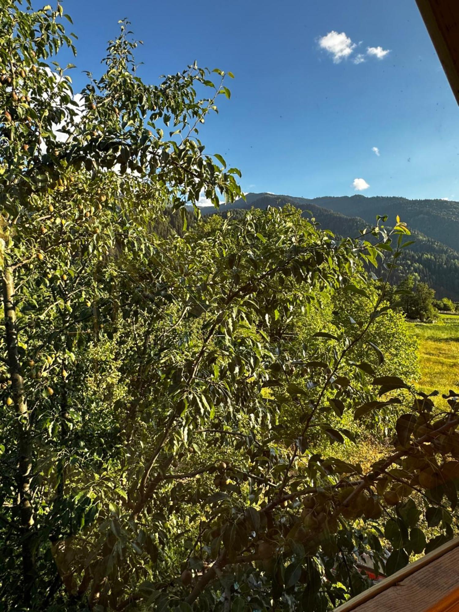 Ecohouse Svaneti Местия Экстерьер фото